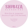 jorgensen、Ektor Eros - Source of Light (Agent Orange Remix)