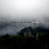 Focus on the Breath - Loner