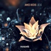 James Kiedis - Lotus