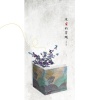 齐修远 - 采蜜的苍蝇