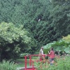 dylantheinfamous、Obijuan、mt. fujitive、looms. - sakura // botanikkal