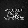 Ambient Nature White Noise - Natural Ambience For Relaxation