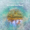 SPA、Sounds Of Nature : Thunderstorm、White Noise Meditation、Rain《Zen Rain》[MP3/LRC]