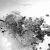 Anthony Godwin - Un long fleuve tranquille