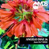 Angelo Diaz Jr. - Juno Dx7