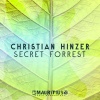 Christian Hinzer《Secret Forrest》[MP3/LRC]