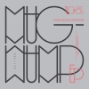 Francesco Bergomi《Mugwump》[MP3/LRC]