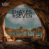 Shakes + Seven - Castles In The Sky (Radio Mix)
