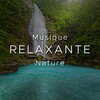 Zen Music Garden - Musique Relaxante et Détente