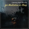 Nature Soundscape、Natural Nature Makers、Organic Nature Sounds - Rain Sounds - Chill Out