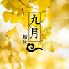 颜妹 - 作曲家 (DJ版)