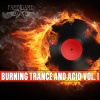 Stefan Dabruck - Acid Phase (Radio Edit)