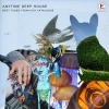 André Fernandes - Some Like Bass
