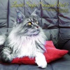 Nadja Lind - Lucid Sofa Session One (Nadja Lind Deep Flow DJ Mix - Continuous DJ Mix版)