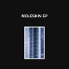 Moleskin《We Been Ready》[MP3/LRC]