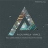 Radu Mirica - Details