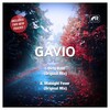 Gavio - Dirty Rain