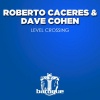Roberto Caceres、Dave Cohen - Perfect Day