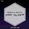 Azzalto、ROBO5 - Carry All Night
