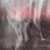 Jalex、Dyl - Anti-Evolution (Books )(Remix)