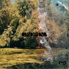 Gropina - The Thin Red Light