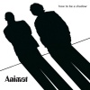 Animat - Late Night Dawn
