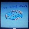 cat soup - braincloud