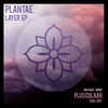 Plantae - Scheme