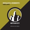 RoBBerto、MR.BLACK - Too Late