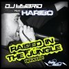 Haribo、DJ Hybrid《Raised In The Jungle (Bou Remix)》[MP3/LRC]