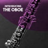Gerhard Vetter、Richard Urech、Susanne Hess、George Frideric Handel - Trio No. 24 for Oboe, Bassoon & Basso Continuo in F Major: I. Adagio
