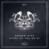 Andrew Mina - Never Let You Go (Original Mix)