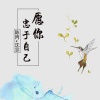 DJ沈念、陈丙 - 抖音囧架架 (DJ版)