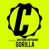 Matthias Hoffmann - Gorilla (Original Mix)