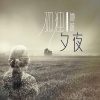 夕夜 - 谁能陪谁走过一生