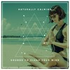 Yoga Music Reflections、Yoga Music Experience、Yoga Music Swami - It Comes and Goes in Theta Waves