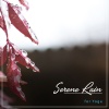 Nature Soundscape、Natural Nature Makers、Organic Nature Sounds - Rain Sound: Relaxing Sleep Music