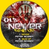 Peter Schmidt - Never