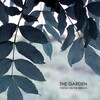 Focus on the Breath - A Gentleman On a Trail