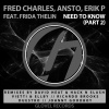Frida Thelin、Erik P、Ansto - Need to Know (David Heat & Hack N Slash Remix)