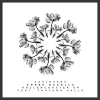 Thayana Valle、Andre Gazolla - Rollercoaster