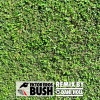 Ektor Eros - Bush