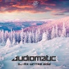 Audiomatic、Morten Granau、森林战士电影、MOON - Dj Winter Mix 2016