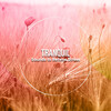 Relaxing Sleep Music、Music For Absolute Sleep、Relaxation Music Guru - Brainwaves Within