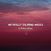 Entspannungsmusik、Avslappning Sound、Native American Indian Meditation - Sleep Aiding Binaural Beats