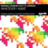 Rodrigo Carreira、TK Wonder - Whatever I Want (Feat. TK Wonder)