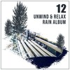 Rain Sounds & Nature Sounds, Heavy Rain Sounds, Rain, Thunder and Lightening Storm Sounds - Light Relaxation