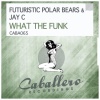 Futuristic Polar Bears、Jay C - What the Funk