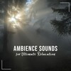 Relaxing Music for Meditation、Powerthoughts Meditation Club、Dr. Meditation - Halcyon Binaural Waves