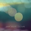 Aki Drope - Deep Injection (Radio Cut)